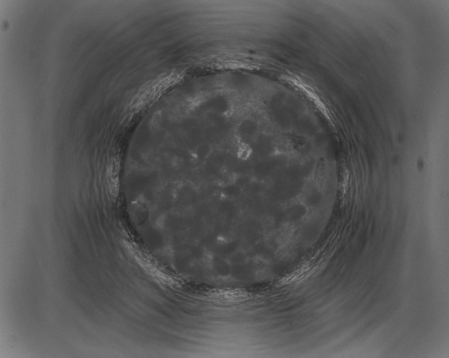 X0000086090402200704091332