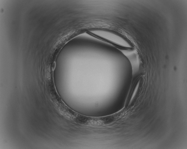 X0000086090403200704091332