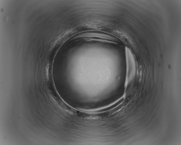 X0000086090404200704091332