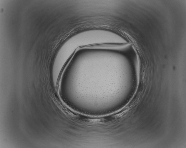 X0000086090405200704091332