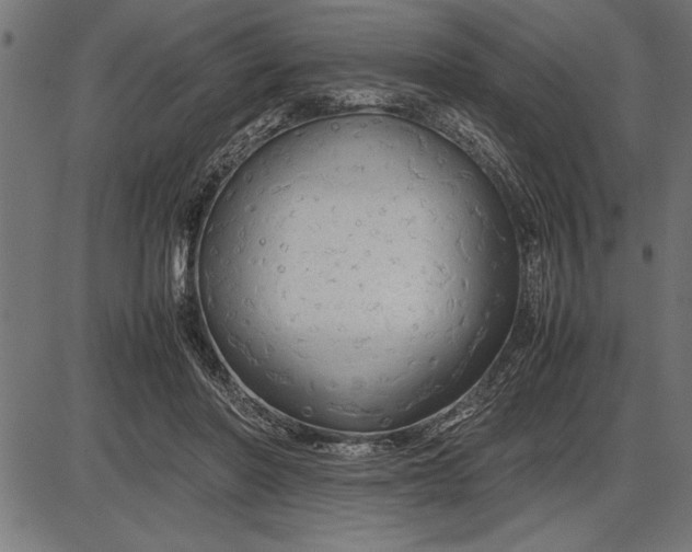 X0000086090406200704091332