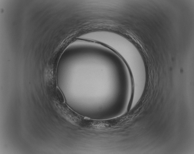 X0000086090407200704091332