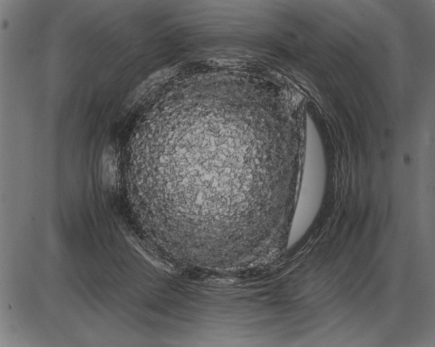 X0000086090408200704091332