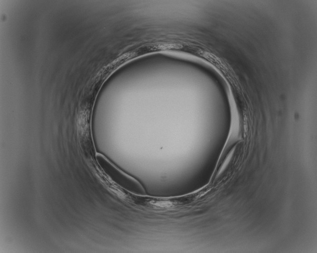 X0000086090409200704091332