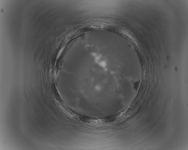 X0000086090411200704091332