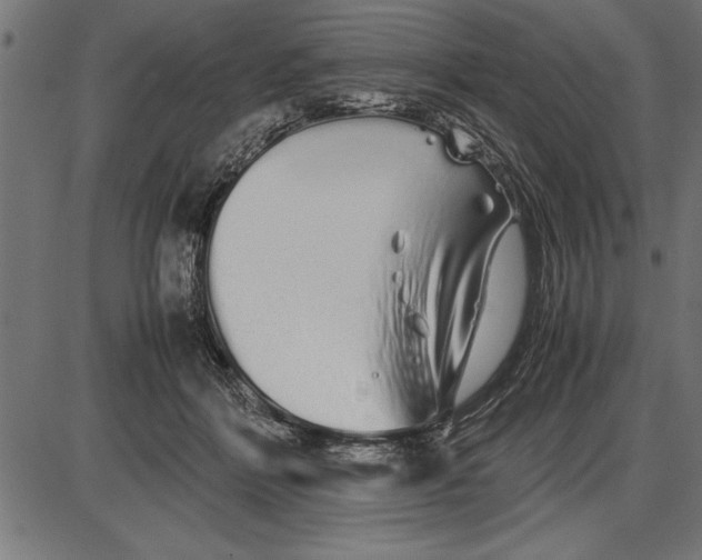 X0000086090412200704091332