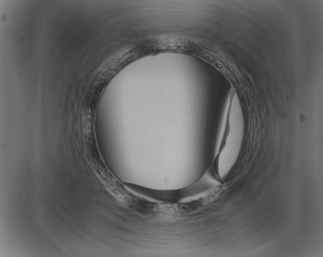 X0000086090413200704091332