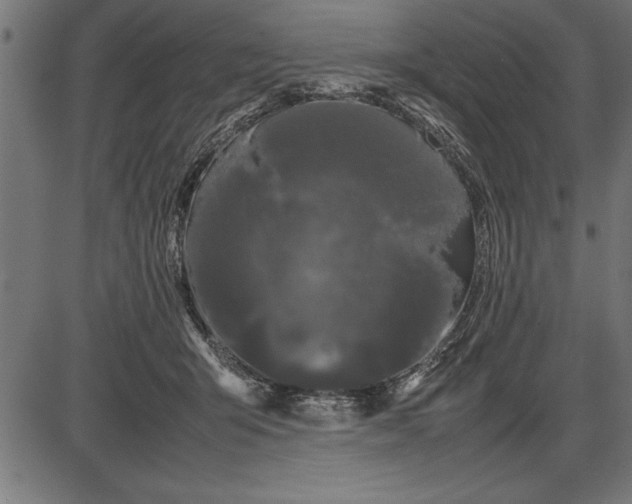 X0000086090415200704091332