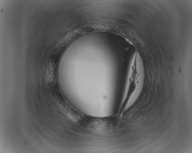 X0000086090416200704091332