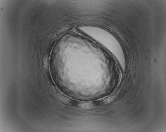 X0000086090417200704091332