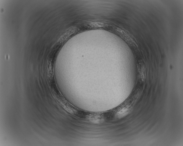 X0000086090418200704091332