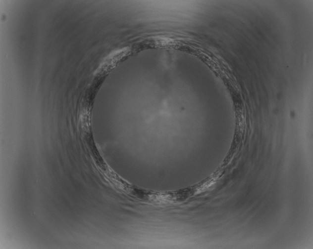 X0000086090419200704091331