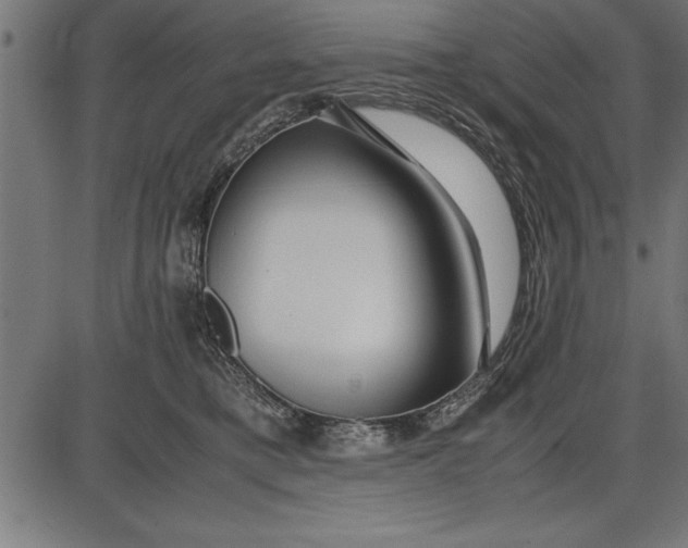 X0000086090421200704091331