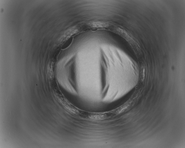 X0000086090422200704091331