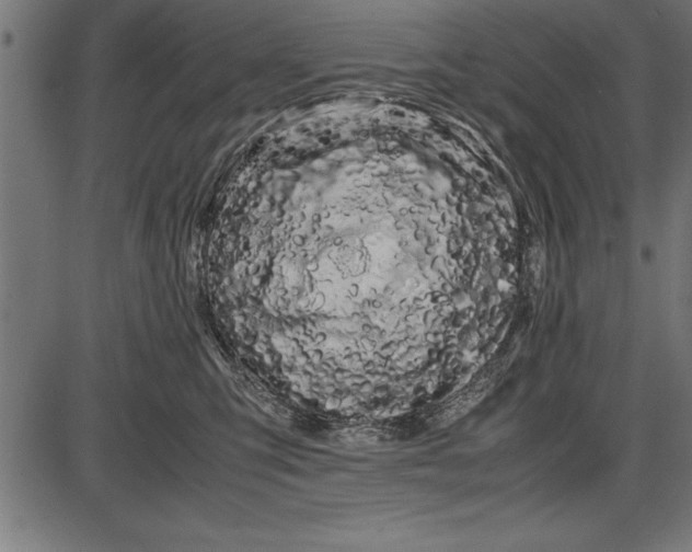 X0000086090423200704091331