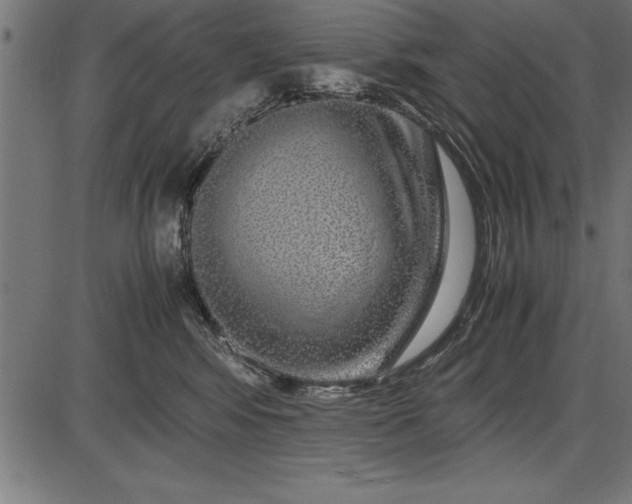 X0000086090424200704091331