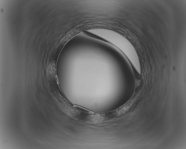 X0000086090425200704091331