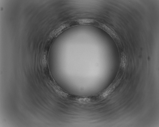 X0000086090426200704091331