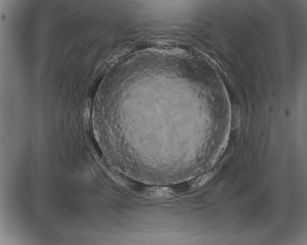 X0000086090427200704091331