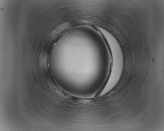 X0000086090428200704091331