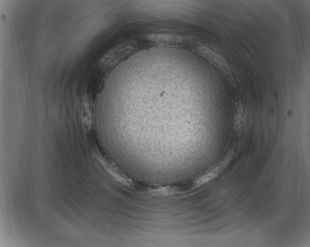 X0000086090430200704091331