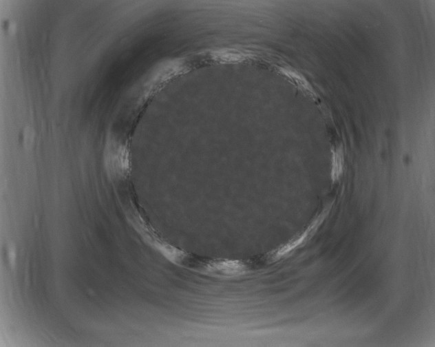 X0000086090431200704091331