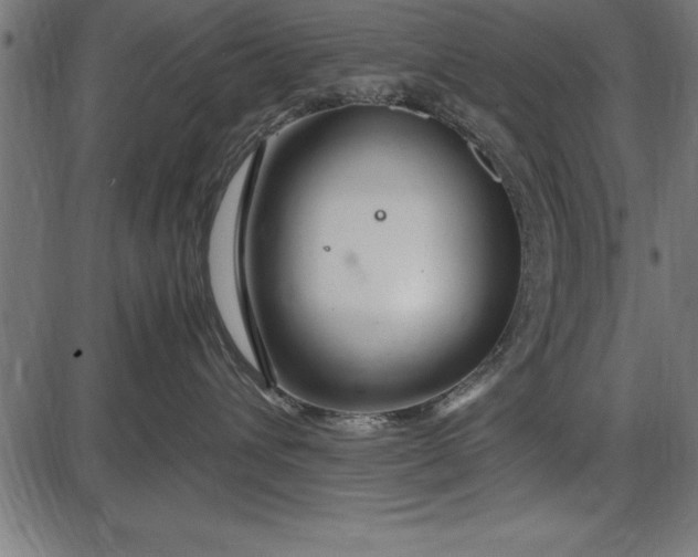 X0000086090432200704091331