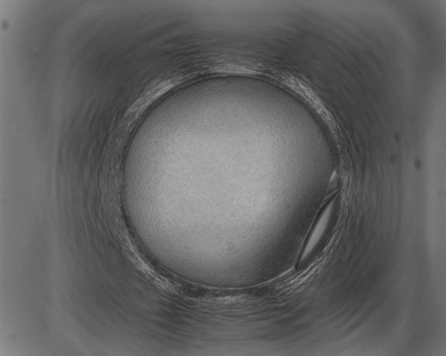 X0000086090433200704091330