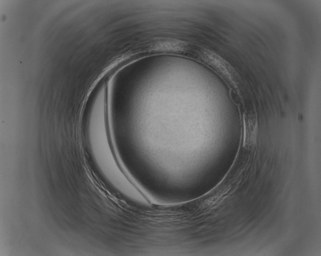 X0000086090435200704091331