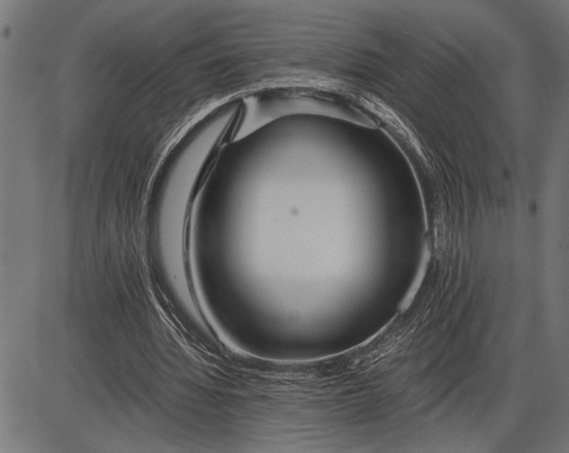 X0000086090436200704091331