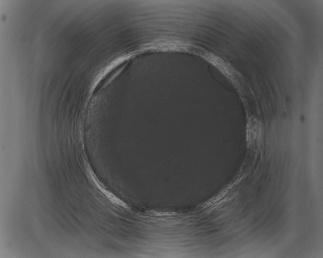 X0000086090438200704091331