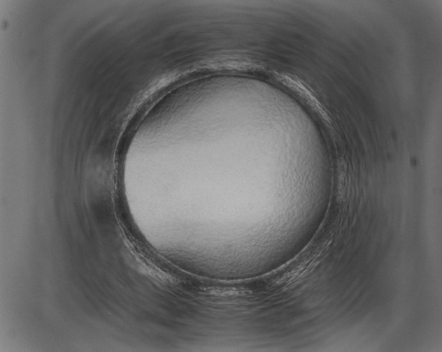 X0000086090439200704091331