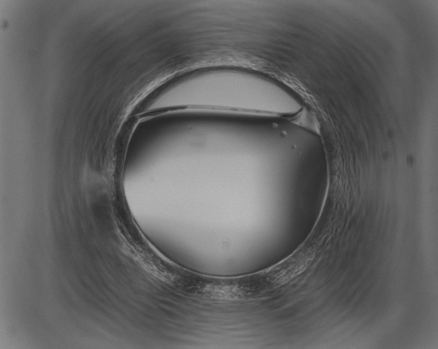 X0000086090440200704091331