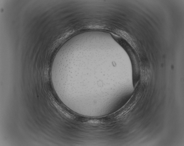 X0000086090441200704091331