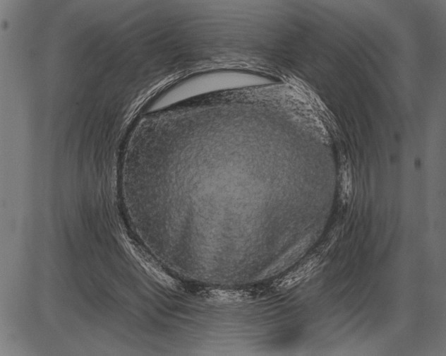 X0000086090442200704091331