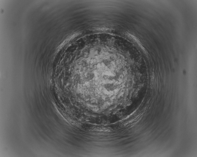 X0000086090443200704091331