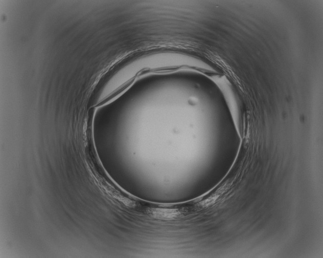 X0000086090444200704091331