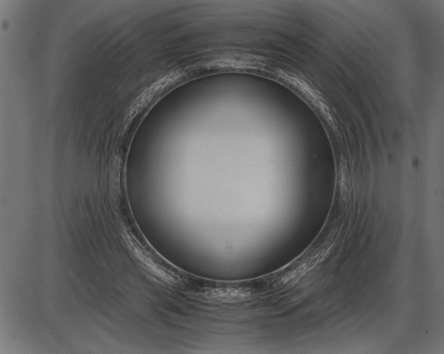 X0000086090445200704091331