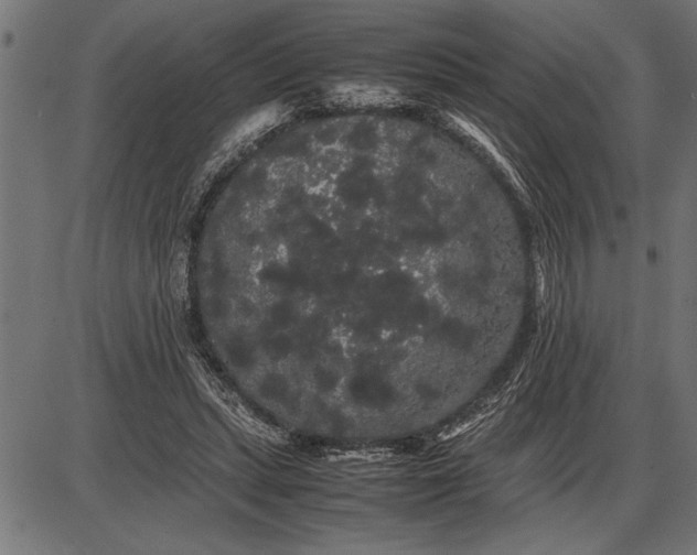 X0000086090447200704091331