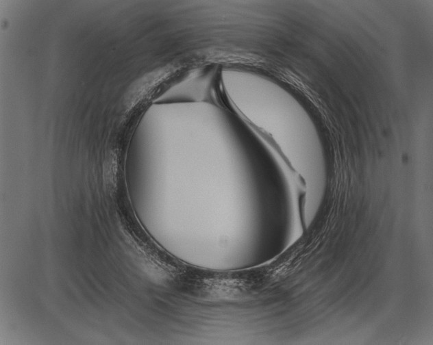 X0000086090448200704091331