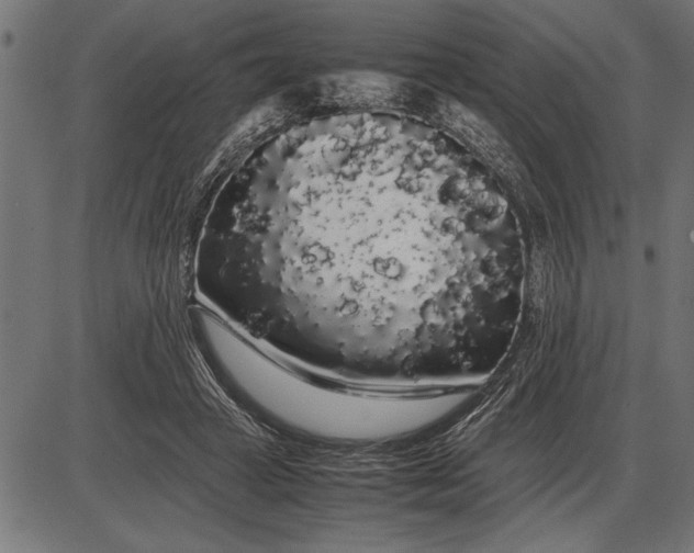 X0000086090449200704091331