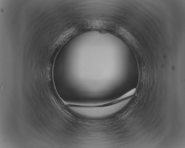 X0000086090450200704091331