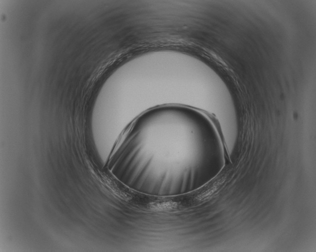 X0000086090452200704091331