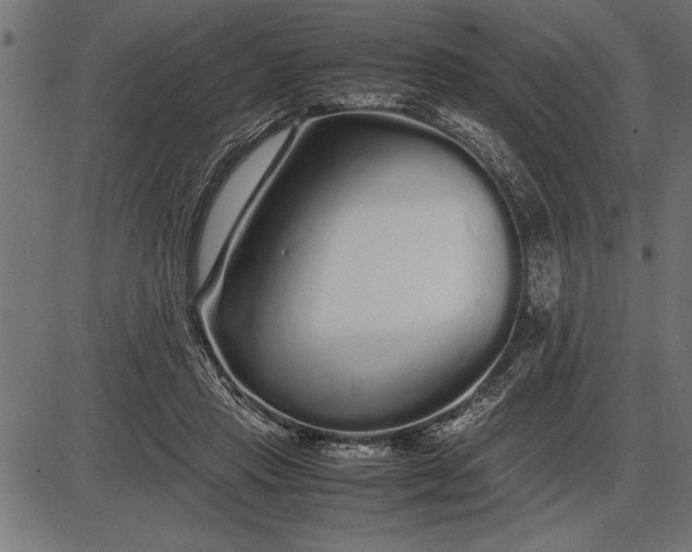 X0000086090453200704091331