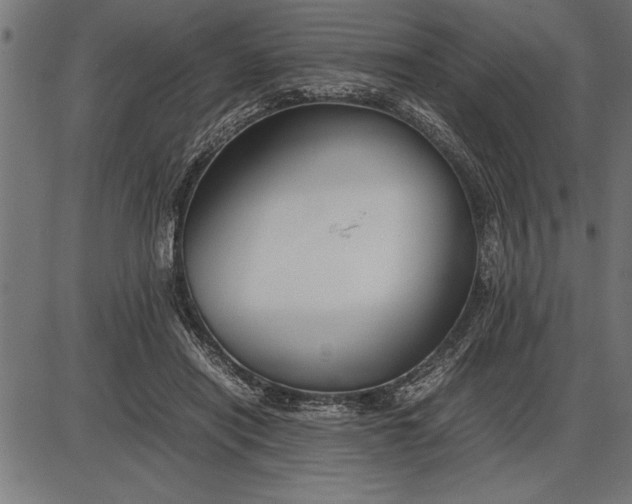 X0000086090454200704091331