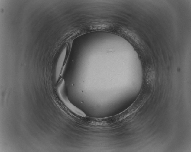 X0000086090455200704091331