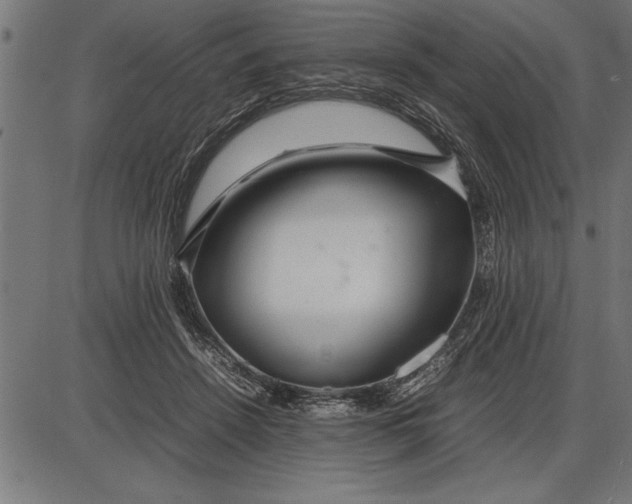 X0000086090456200704091331