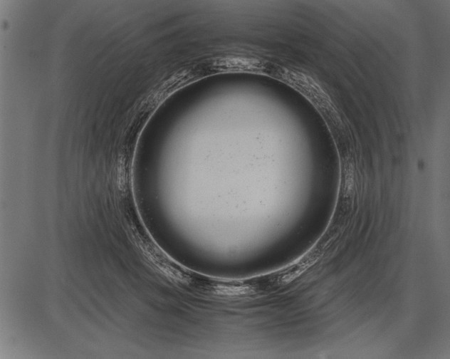 X0000086090457200704091331