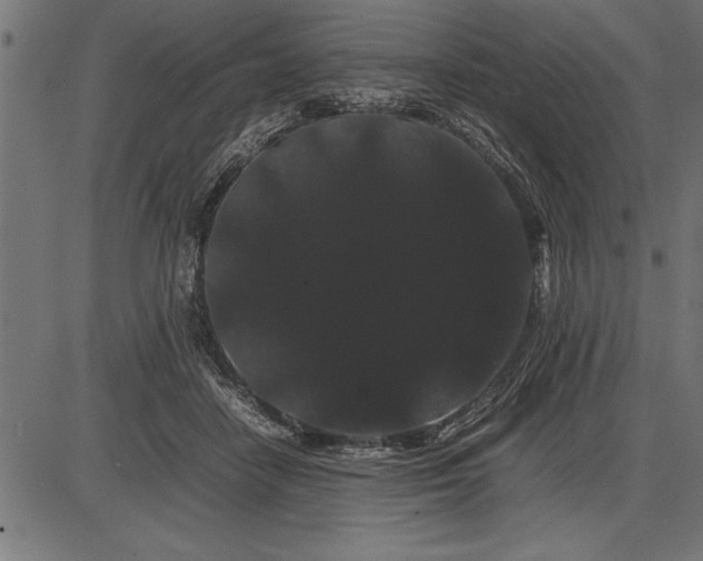 X0000086090458200704091331