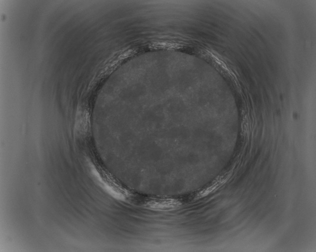 X0000086090459200704091331